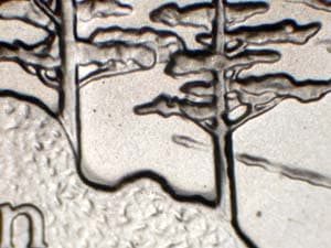 2005-S Doubled Die Reverse DDR-004
