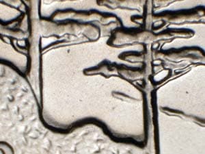 2005-S Doubled Die Reverse DDR-006