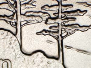 2005-S Doubled Die Reverse DDR-009