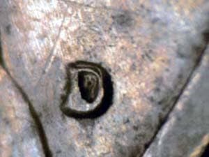 1971-D Repunched Mintmark RPM-002