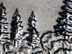 2005 Doubled Die Reverse DDR-061
