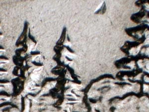 2005 Doubled Die Reverse DDR-066