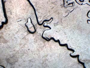 2007 Doubled Die Reverse DDR-010