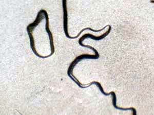 2007 Doubled Die Reverse DDR-016