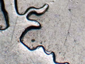 2007 Doubled Die Reverse DDR-028