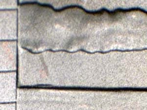 2009 Doubled Die Reverse DDR-004