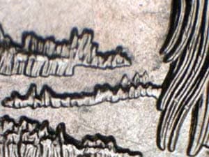 2015 Doubled Die Reverse DDR-004