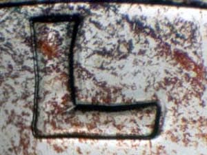 1962 Doubled Die Obverse DDO-008
