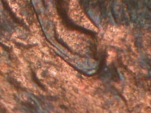 1995 Doubled Die Obverse DDO-003