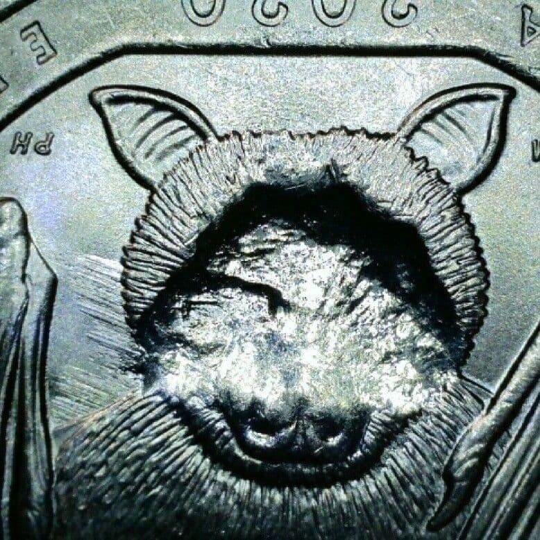 2020 (P) American Samoa National Park Quarter - Strike Through 001
