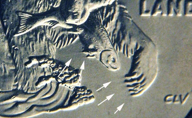 2008D(AK)-25DER-002T Trail Die Reverse